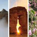 Free things to do in Saudi eid 2026